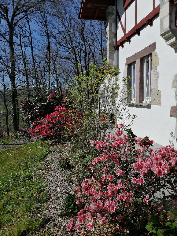 Maison D'Hotes Villa Xaran Erdian 埃斯珀莱特 外观 照片